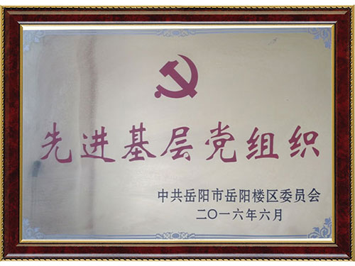 現(xiàn)金基層黨組織